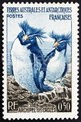Postage stamp France 1956 Rockhopper Penguins, Crozet Archipelag