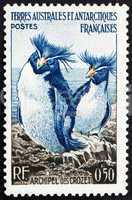 Postage stamp France 1956 Rockhopper Penguins, Crozet Archipelag