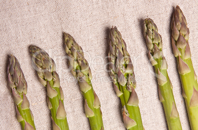 of green asparagus