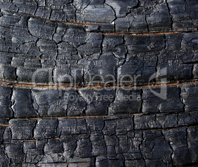 burned wood