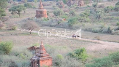 Cart in Bagan