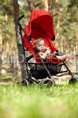 Kid in the buggy