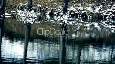 Forest reflection in water,ripple,snow.