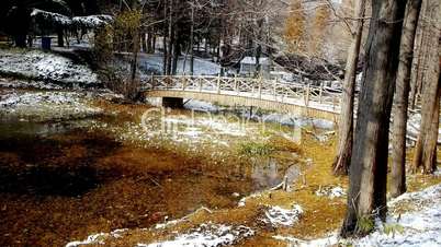 Forest and bridge reflection in water,metasequoia leave floating on lake,ripple,snow.