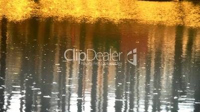 Forest reflection in water,Sparkling ripple,snow.