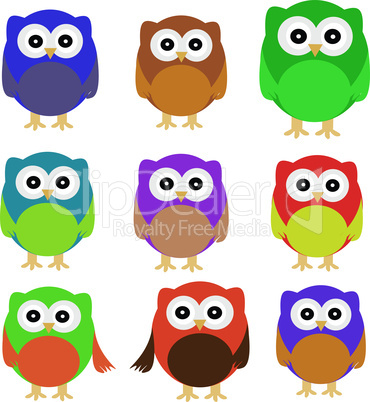 set of Owls isolated on white. vector