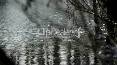 Forest and branches reflection in swamps wetlands water,Sparkling ripple,snow.