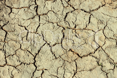 Cracks in the dried ground