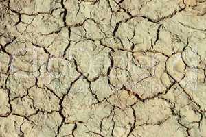 Cracks in the dried ground