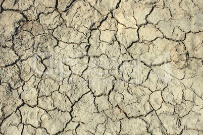 Cracks in the dried soil