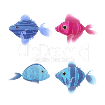 four fish illustrations