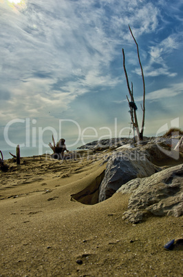 Treibgut am Strand