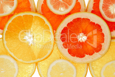 Fruchthintergrund aus Orange, Grapfruit und Zitronenscheiben