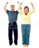 Excited senior couple. Arms raised