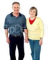 Happy matured couple posing