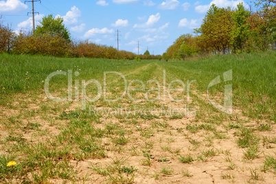 Wide rural dirt road