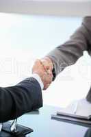 Two people shaking hands