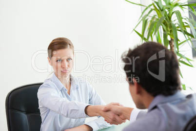 Businesspeople shaking hands