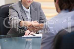 Businesspeople sitting while shaking hands