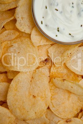 close up of a bowl of dip with herbs surrounded by chips