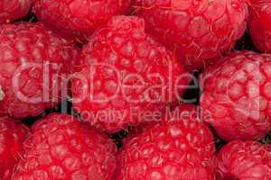 Heap of raspberry