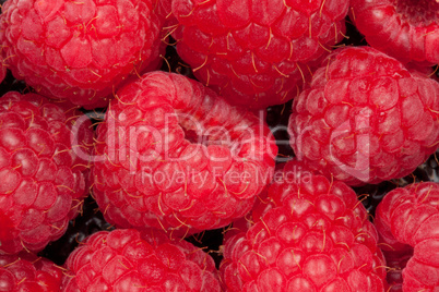 Heap of raspberry