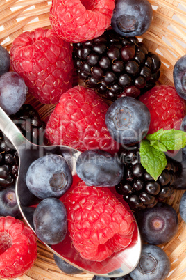 Berries  eating in a basket