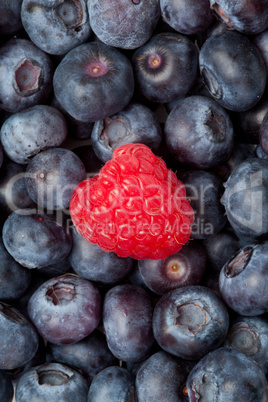 Raspberry in the middle of blueberries