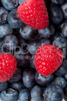 Raspberry on the blueblerries