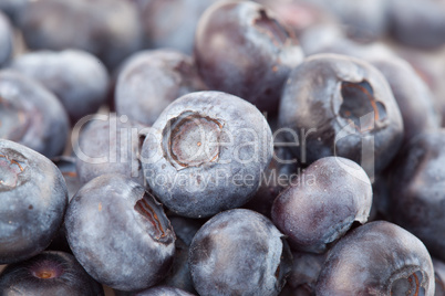 Close-up of blueberries