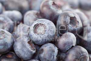 Close-up of blueberries