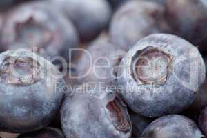 Blueberries fruit