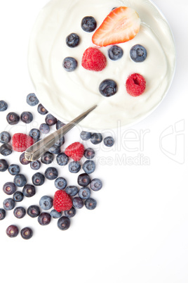 Bowl of cream with fruits