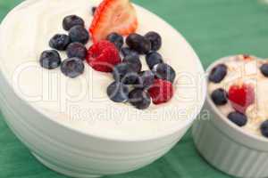 Bowl of cream of fruits