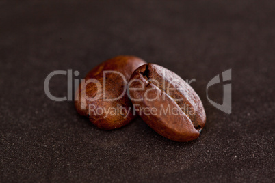 Two coffee beans side by side