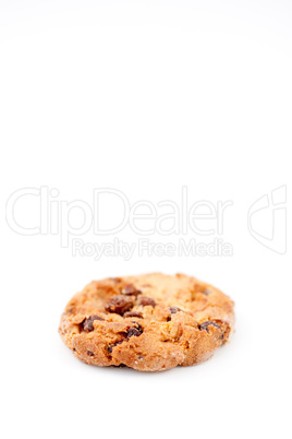Plain cookie