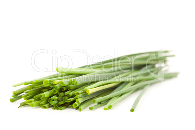 Close up of chive branches