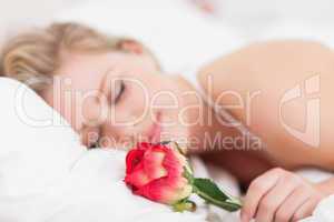 Young woman with a rose sleeping