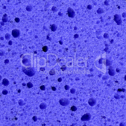 Violet Sponge