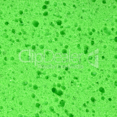 Green Sponge