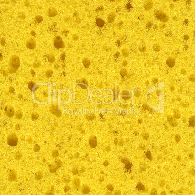 Yellow Sponge