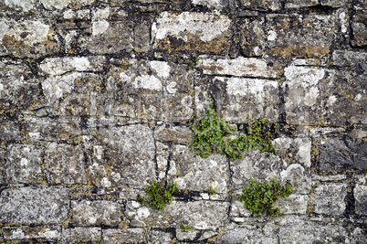 Stone wall fragment