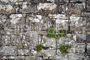 Stone wall fragment