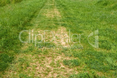 Fragment of old rural dirt road