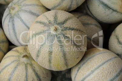 muskmelon