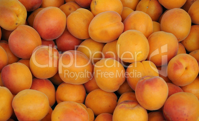 apricot