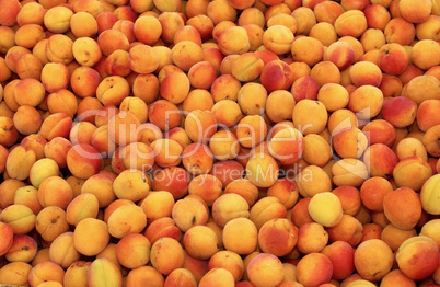 apricot