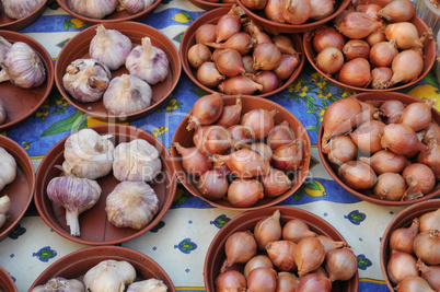 garlic and shallot