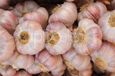 garlic