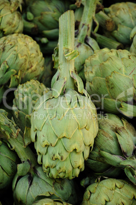 artichoke